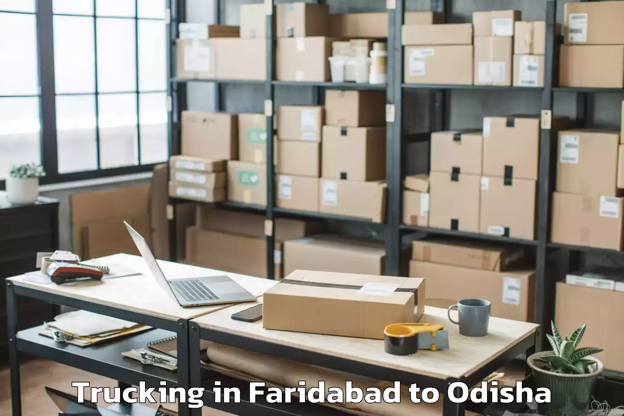 Faridabad to Mudulipada Trucking